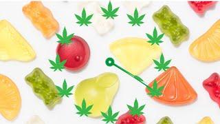 HOW TO MAKE CBD & THC GUMMIES AT HOME