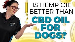 What’s difference between Hemp Oil, CBD Oil & Hemp Seed Oil for Dogs?