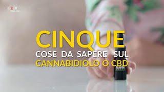 Cannabis terapeutica: cinque cose da sapere sul Cbd