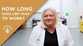 How Long Does CBD Oil Take to Work? | Dr. Leslie's Lab