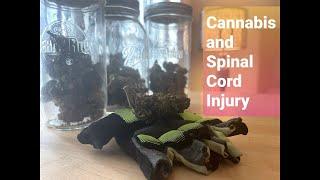 Spinal Cord Injury & Cannabis (Medical Marijuana, CBD Oil for Spinal Cord Treatment & Recovery)