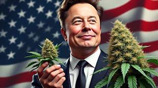 THCA Pre-Rolls EXPOSED - The Shocking Truth!