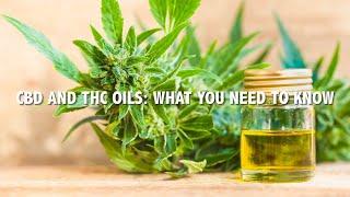 These are the differences between CBD, THC oils