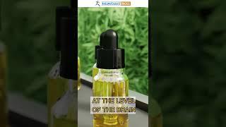 Reveal the Power of CBD Oil in Rheumatoid Arthritis