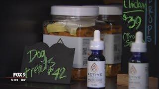 Dog owners turn to CBD oil to calm pets during fireworks