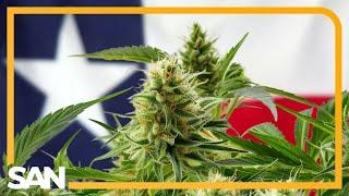 Texas lawmakers move to ban sale of all THC products in 2025