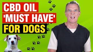 CBD Oil For Dogs (9 AMAZING Benefits Dogs MUST Have)