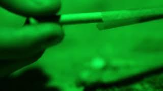 Buy CBD Online - CBD Oil, Gummies, Vapes & More - Just CBD Store