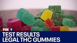 Testing legal THC gummies in Minnesota