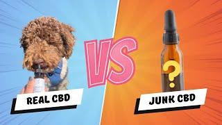 Best Dog CBD (CBD oil for dogs anxiety review)